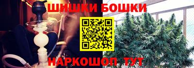 ECSTASY Обь