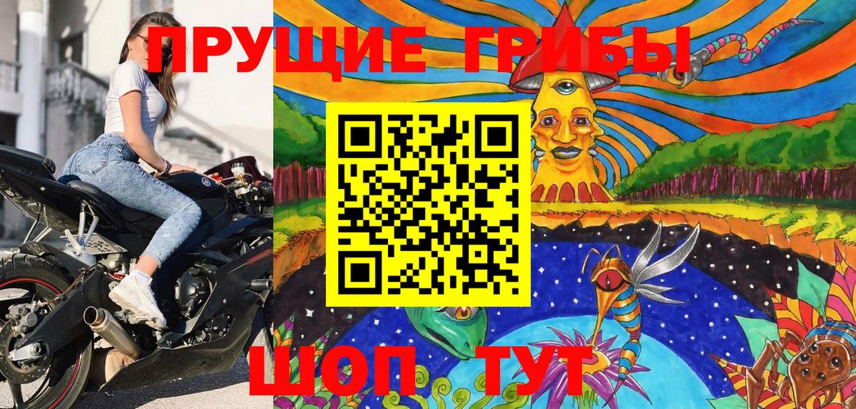 Псилоцибиновые грибы GOLDEN TEACHER Солнечногорск