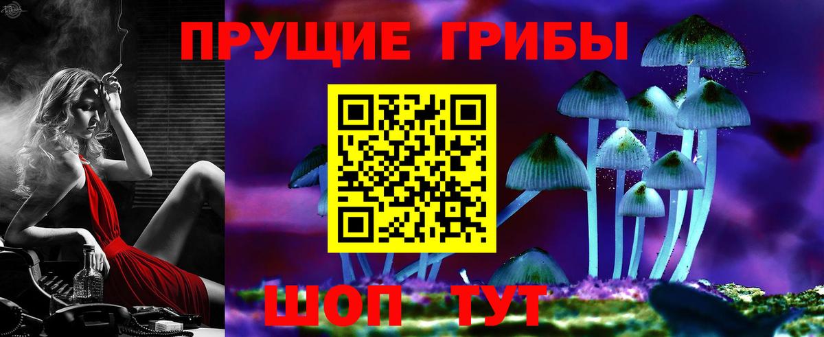 купить наркоту  Псилоцибиновые грибы прущие грибы  Вход с VPN  Солнечногорск 
